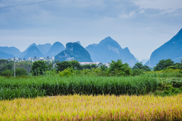 旅游景点翻译错误例子
