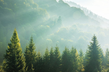 河南洛阳旅游景点排名前十名
