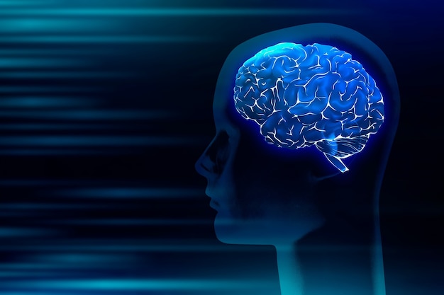 八年级数学知识点下册人教版_2
