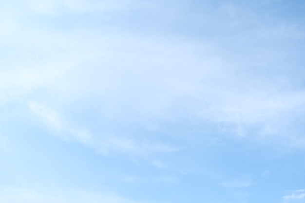 scarf是什么意思