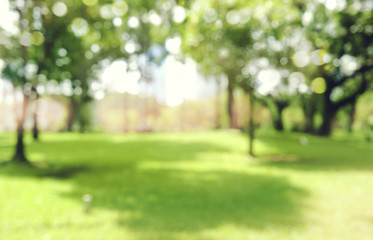 加州大学欧文分校世界排名